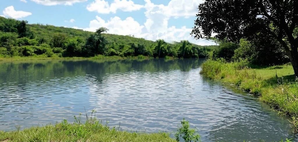 Hermoso 